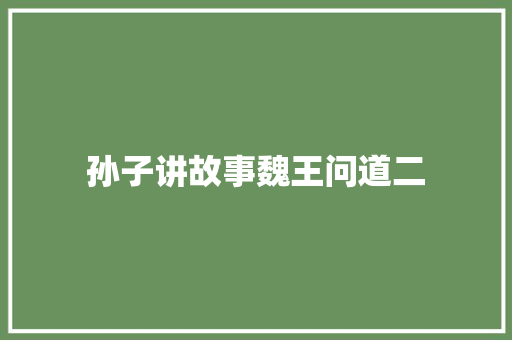 孙子讲故事魏王问道二