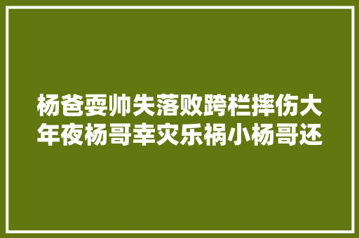 杨爸耍帅失落败跨栏摔伤大年夜杨哥幸灾乐祸小杨哥还原受伤细节