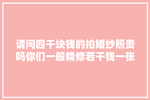 请问四千块钱的拍婚纱照贵吗你们一般精修若干钱一张呢
