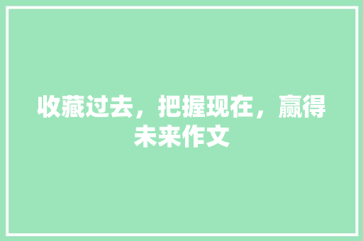 收藏过去，把握现在，赢得未来作文