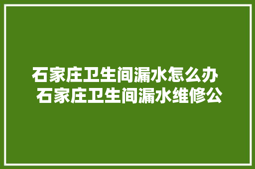 石家庄卫生间漏水怎么办  石家庄卫生间漏水维修公司电话