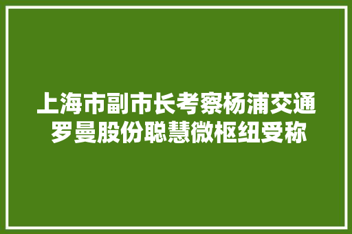 上海市副市长考察杨浦交通 罗曼股份聪慧微枢纽受称赞