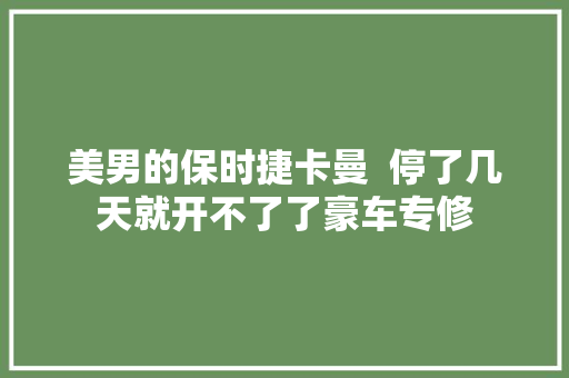 美男的保时捷卡曼  停了几天就开不了了豪车专修