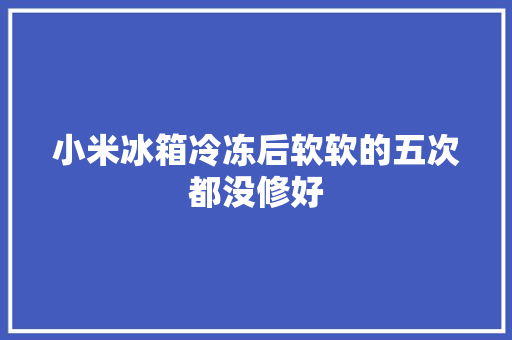 小米冰箱冷冻后软软的五次都没修好