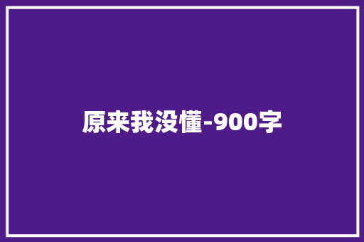 原来我没懂-900字
