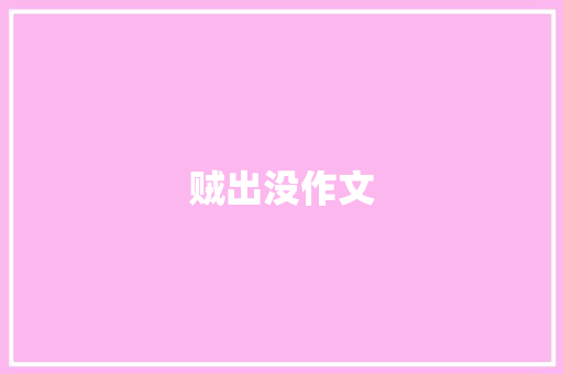 贼出没作文