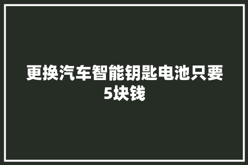 更换汽车智能钥匙电池只要5块钱 汽车知识