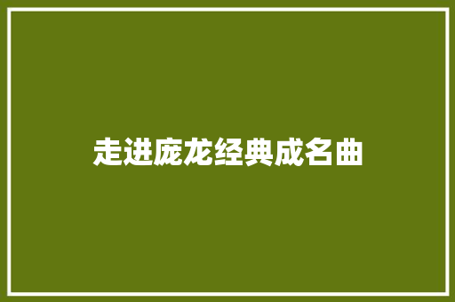 走进庞龙经典成名曲