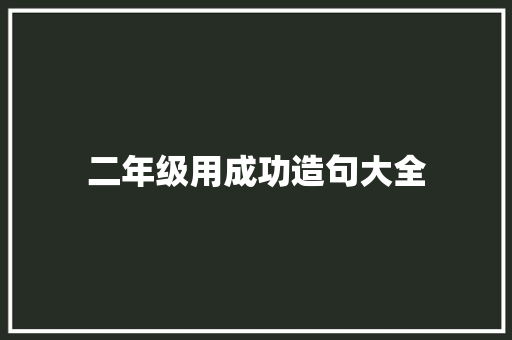 二年级用成功造句大全