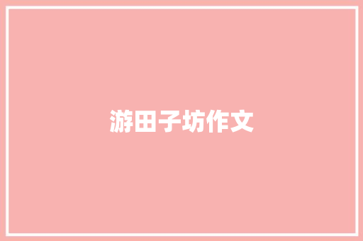 游田子坊作文