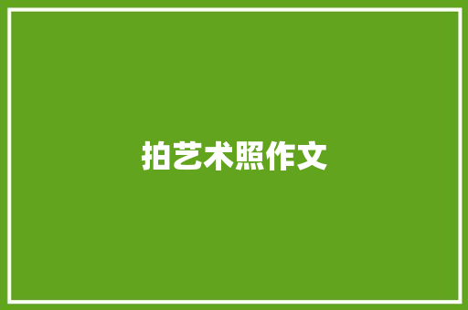 拍艺术照作文