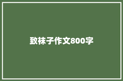 致袜子作文800字