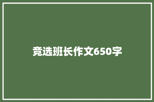 竞选班长作文650字