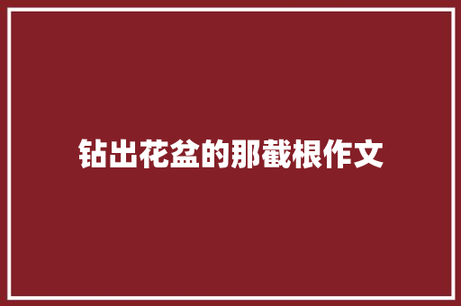 钻出花盆的那截根作文