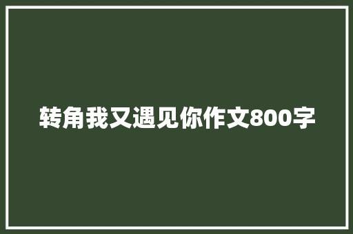 转角我又遇见你作文800字
