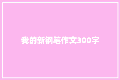 我的新钢笔作文300字
