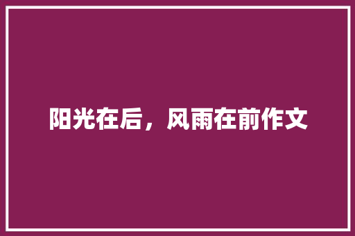 阳光在后，风雨在前作文