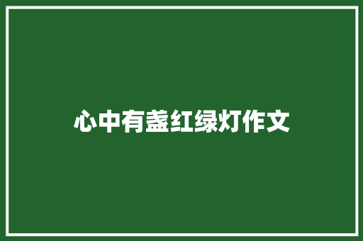 心中有盏红绿灯作文