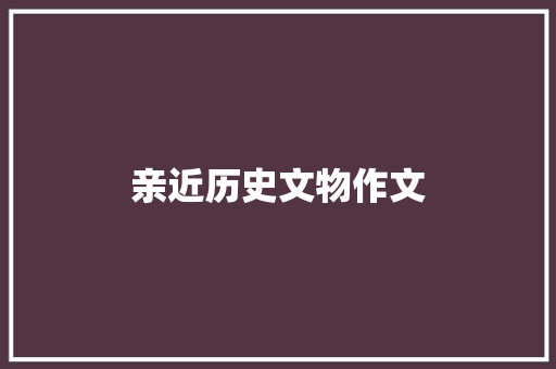 亲近历史文物作文