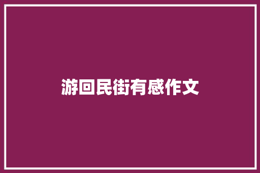 游回民街有感作文