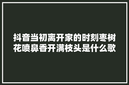 抖音当初离开家的时刻枣树花喷鼻香开满枝头是什么歌 红枣树歌词