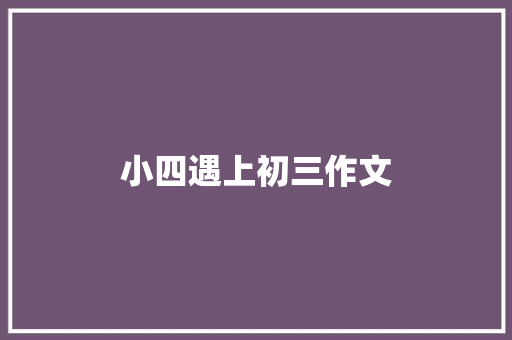 小四遇上初三作文