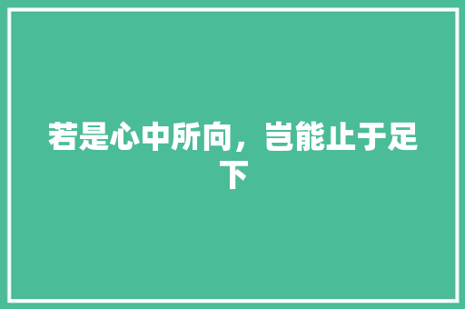 若是心中所向，岂能止于足下