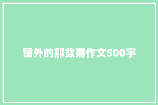 窗外的那盆菊作文500字