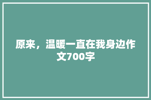 原来，温暖一直在我身边作文700字