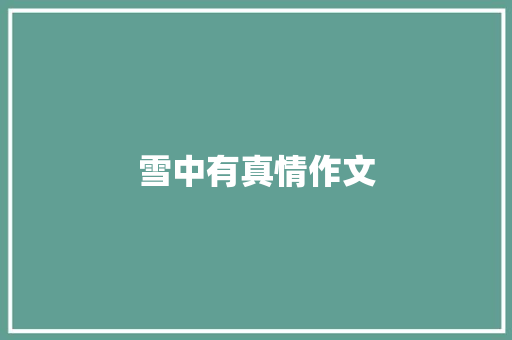 雪中有真情作文
