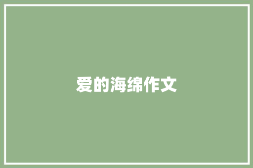 爱的海绵作文