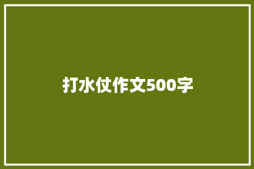 打水仗作文500字