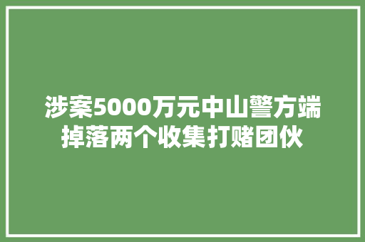 涉案5000万元中山警方端掉落两个收集打赌团伙