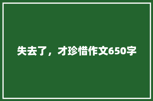 失去了，才珍惜作文650字