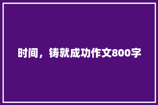 时间，铸就成功作文800字