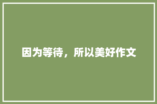 因为等待，所以美好作文
