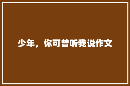 少年，你可曾听我说作文