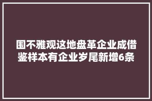 围不雅观这地盘革企业成借鉴样本有企业岁尾新增6条皮革分娩线
