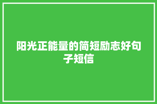 阳光正能量的简短励志好句子短信 知识百科