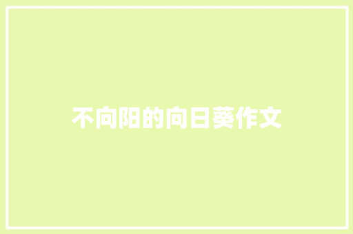不向阳的向日葵作文