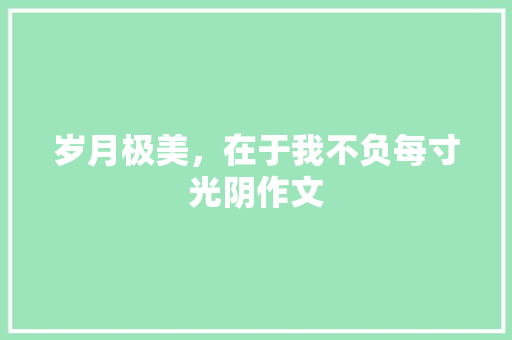 岁月极美，在于我不负每寸光阴作文