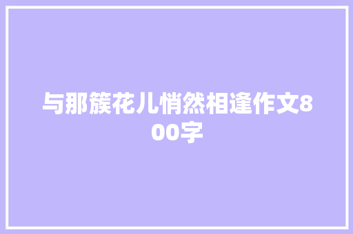 与那簇花儿悄然相逢作文800字