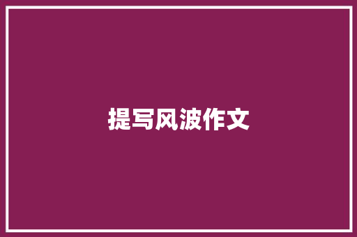 提写风波作文