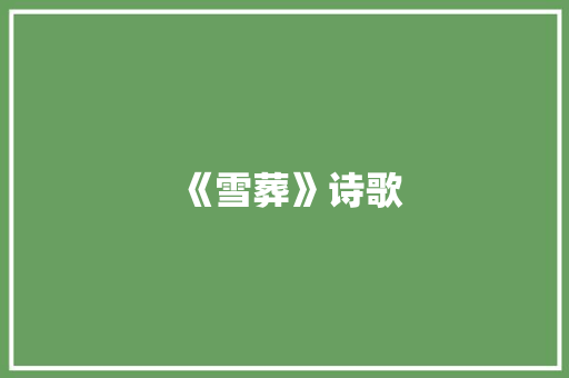 《雪葬》诗歌