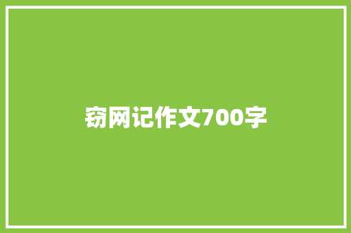 窃网记作文700字