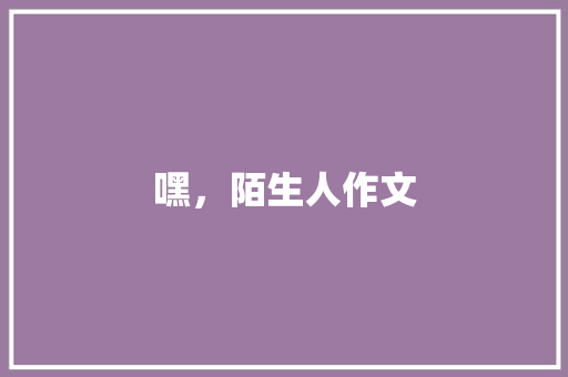嘿，陌生人作文