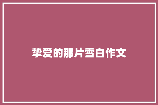 挚爱的那片雪白作文