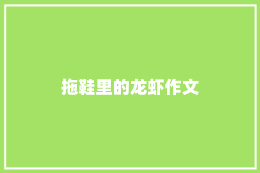 拖鞋里的龙虾作文