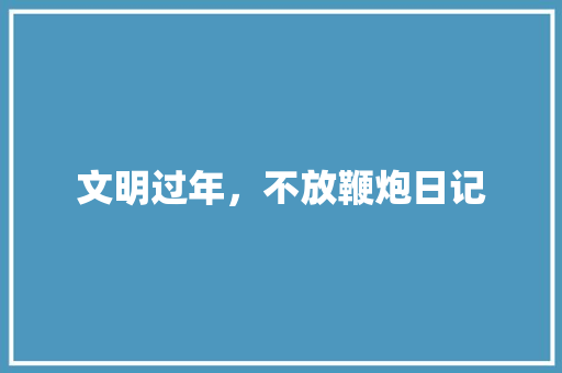 文明过年，不放鞭炮日记