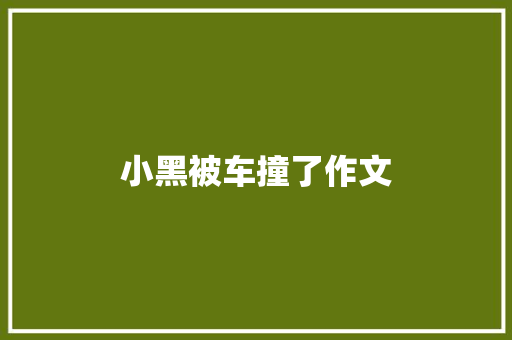 小黑被车撞了作文